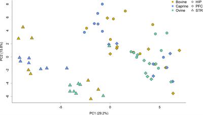 The effects of ruminant milk treatments on hippocampal, striatal, and prefrontal cortex gene expression in pigs as a model for the human infant